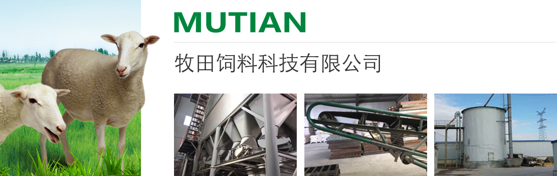 公司簡介 公司簡介